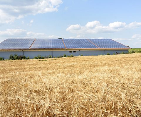 Grafika Instalacje fotowoltaiczne w gospodarstwie rolnym